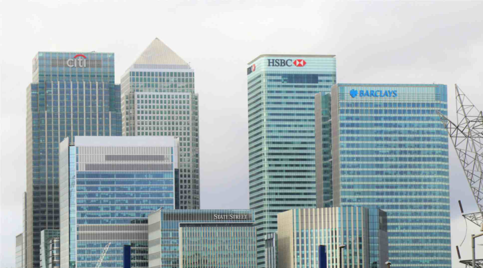 Corporate & Commercial Law